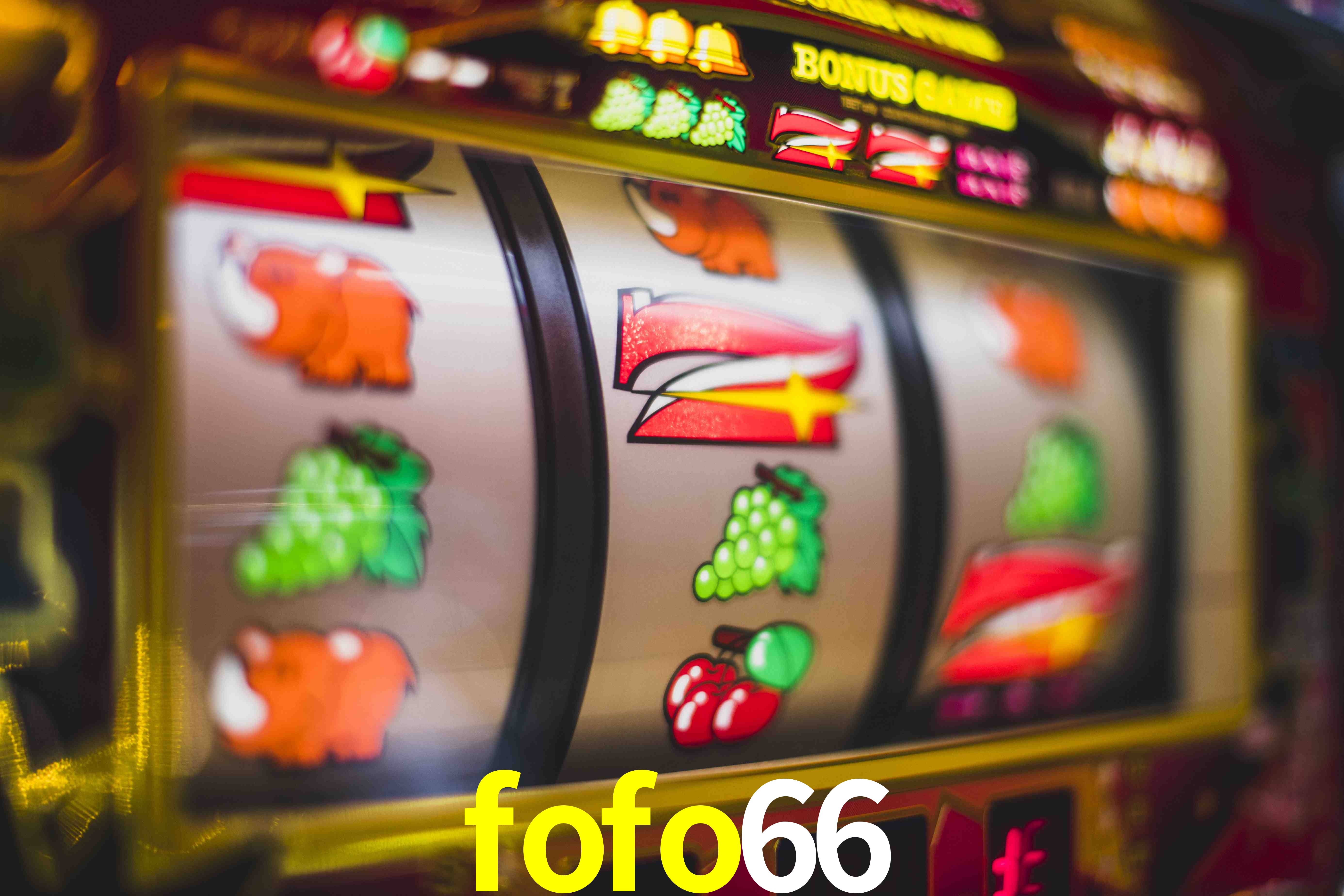 Basketball Betting fofo66